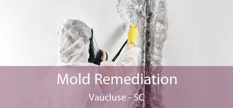 Mold Remediation Vaucluse - SC