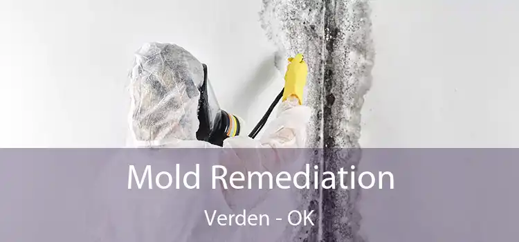 Mold Remediation Verden - OK