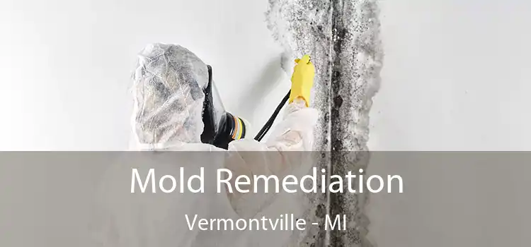 Mold Remediation Vermontville - MI