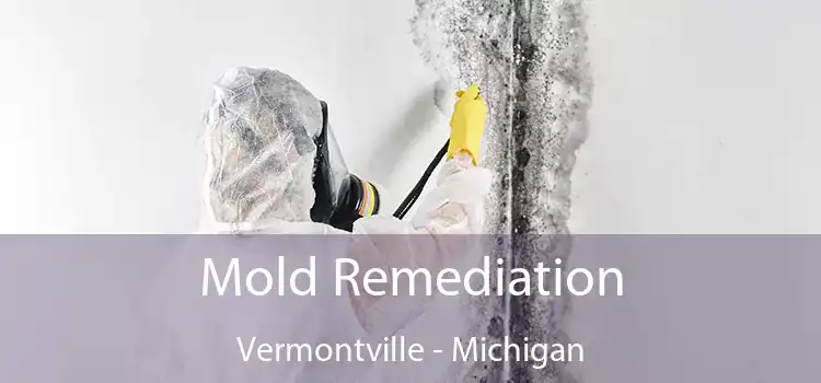 Mold Remediation Vermontville - Michigan