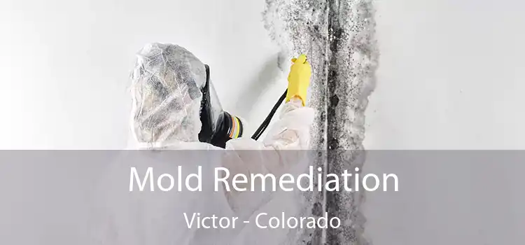 Mold Remediation Victor - Colorado