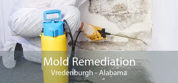 Mold Remediation Vredenburgh - Alabama