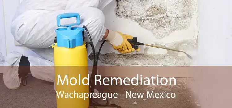 Mold Remediation Wachapreague - New Mexico
