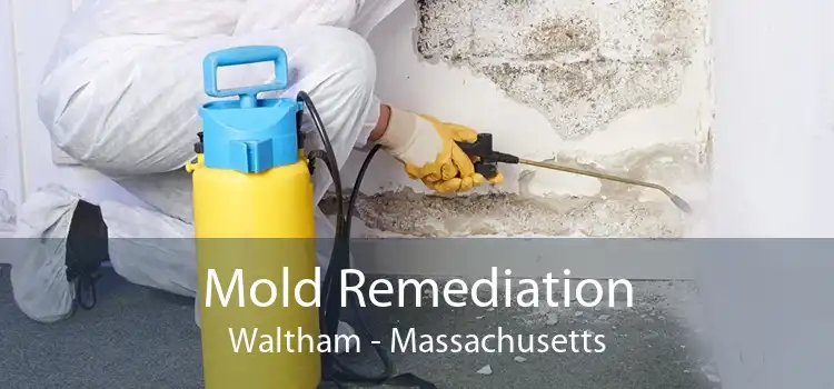 Mold Remediation Waltham - Massachusetts