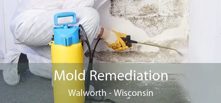 Mold Remediation Walworth - Wisconsin