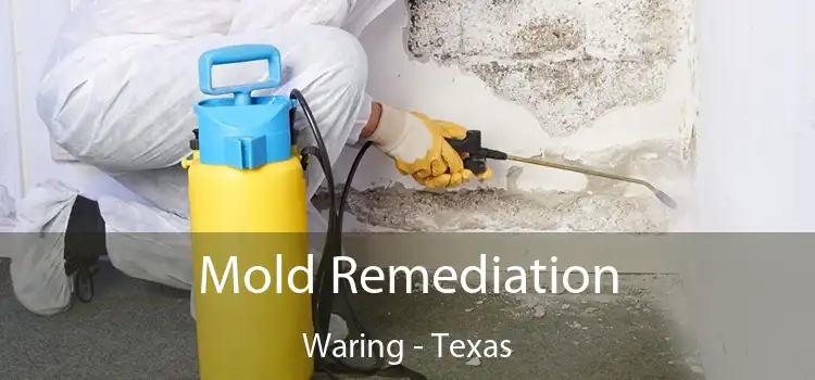 Mold Remediation Waring - Texas