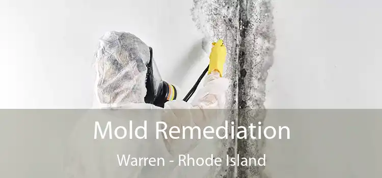 Mold Remediation Warren - Rhode Island