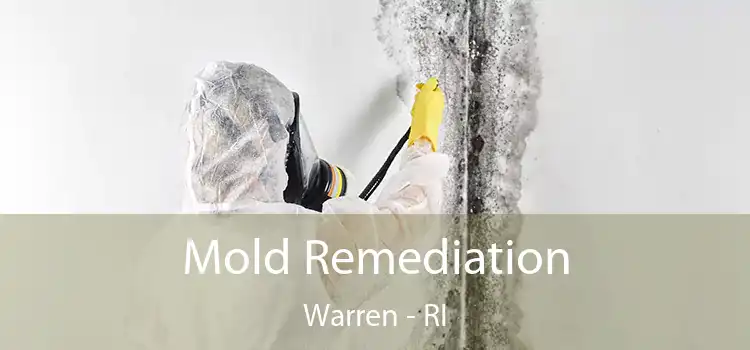 Mold Remediation Warren - RI