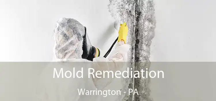 Mold Remediation Warrington - PA