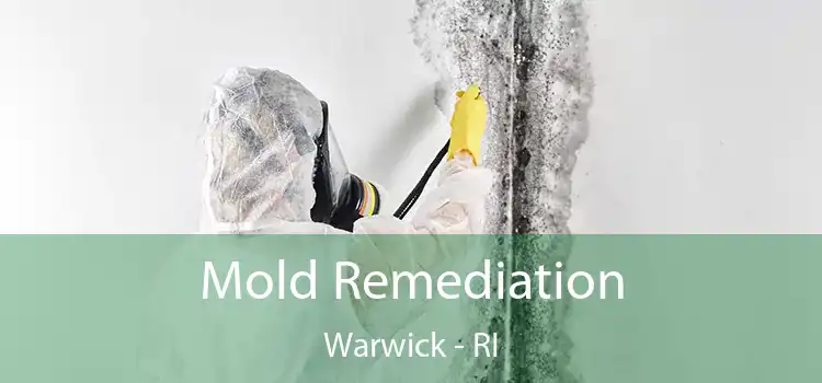 Mold Remediation Warwick - RI