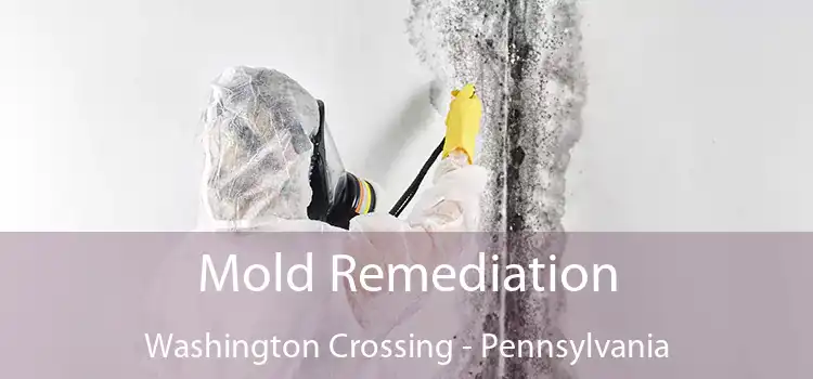 Mold Remediation Washington Crossing - Pennsylvania