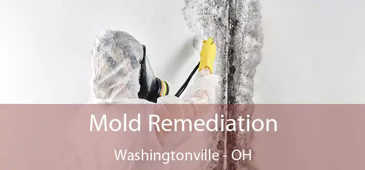 Mold Remediation Washingtonville - OH