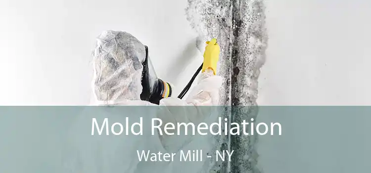 Mold Remediation Water Mill - NY