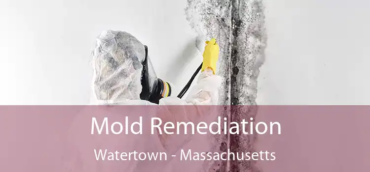 Mold Remediation Watertown - Massachusetts