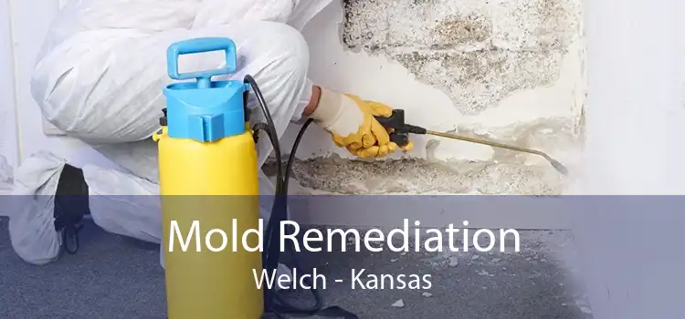 Mold Remediation Welch - Kansas