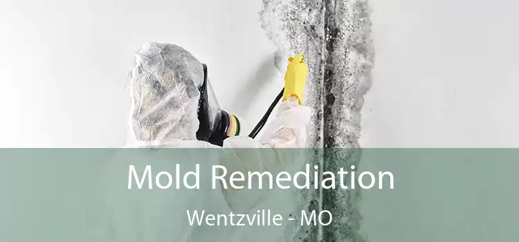 Mold Remediation Wentzville - MO