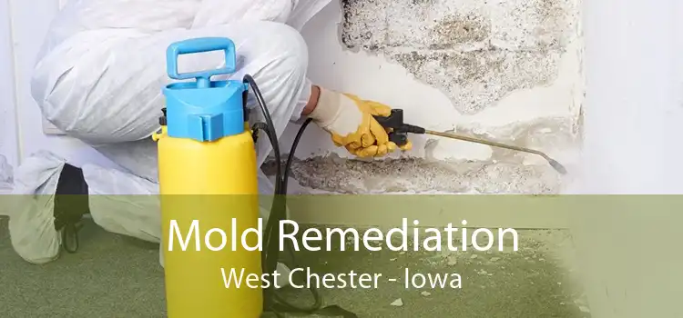 Mold Remediation West Chester - Iowa
