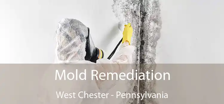 Mold Remediation West Chester - Pennsylvania