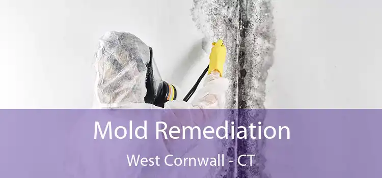 Mold Remediation West Cornwall - CT