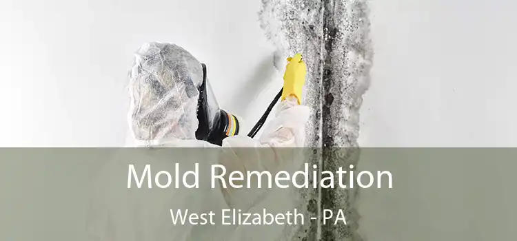 Mold Remediation West Elizabeth - PA