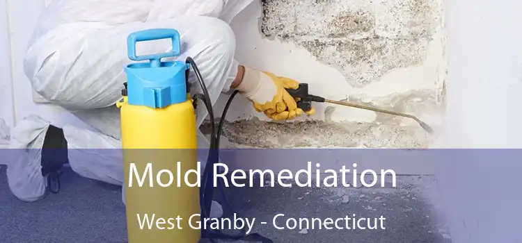 Mold Remediation West Granby - Connecticut