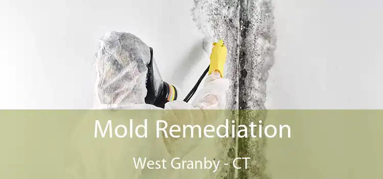 Mold Remediation West Granby - CT