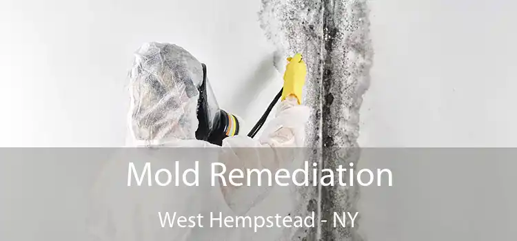 Mold Remediation West Hempstead - NY