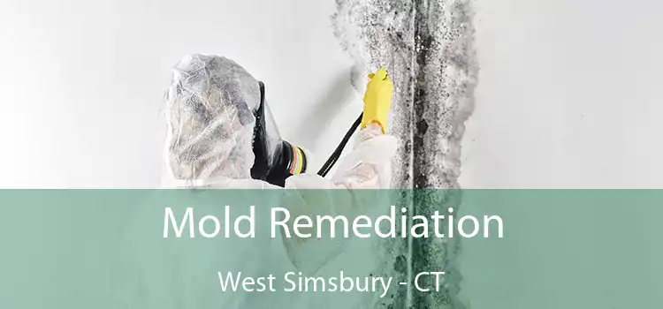 Mold Remediation West Simsbury - CT