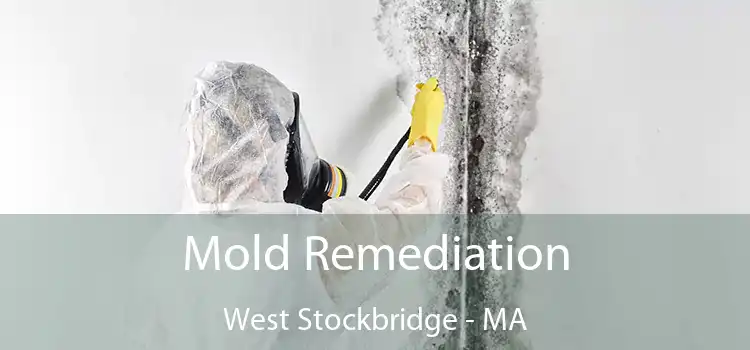 Mold Remediation West Stockbridge - MA