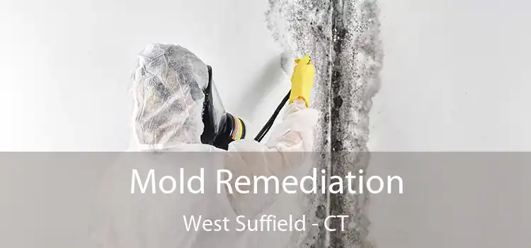 Mold Remediation West Suffield - CT