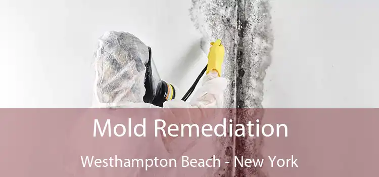 Mold Remediation Westhampton Beach - New York