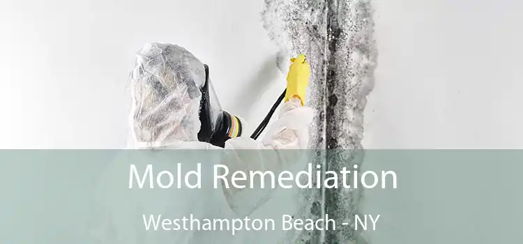 Mold Remediation Westhampton Beach - NY