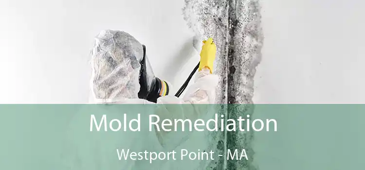 Mold Remediation Westport Point - MA