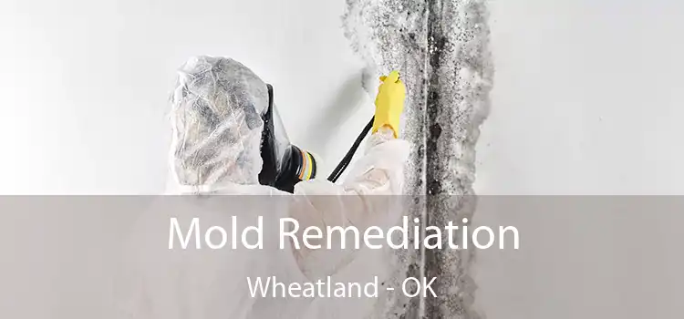 Mold Remediation Wheatland - OK