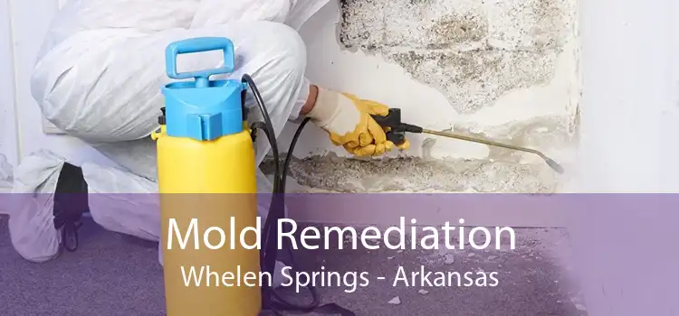Mold Remediation Whelen Springs - Arkansas