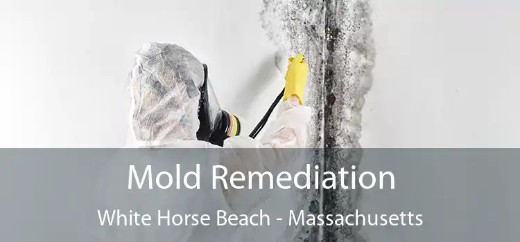 Mold Remediation White Horse Beach - Massachusetts