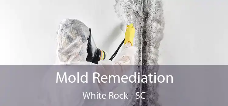 Mold Remediation White Rock - SC