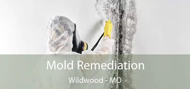 Mold Remediation Wildwood - MO