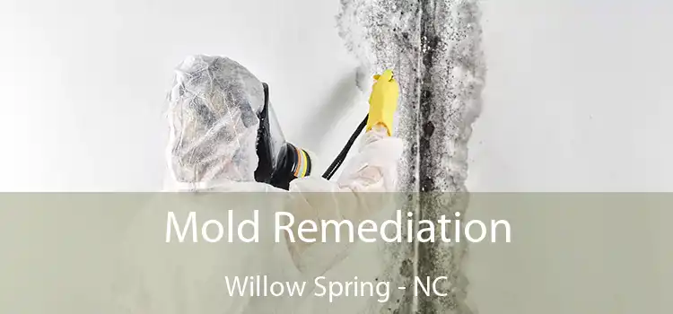 Mold Remediation Willow Spring - NC