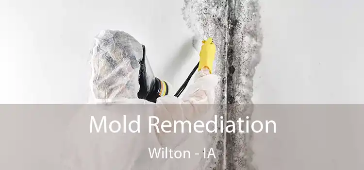 Mold Remediation Wilton - IA