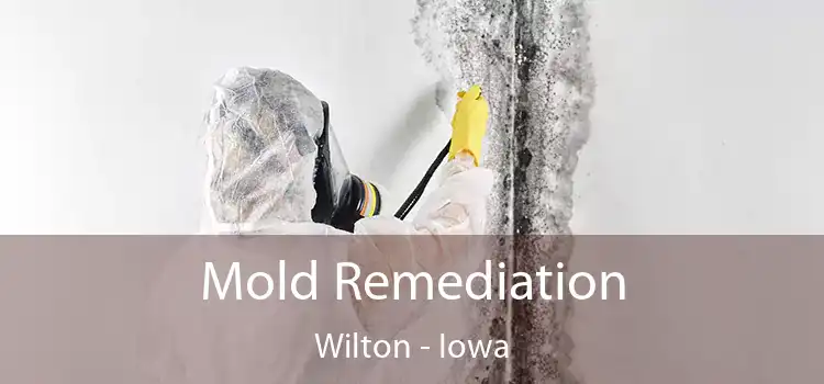 Mold Remediation Wilton - Iowa