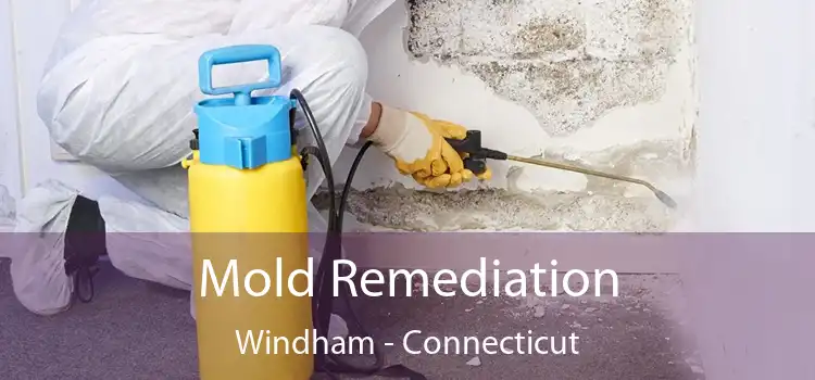 Mold Remediation Windham - Connecticut