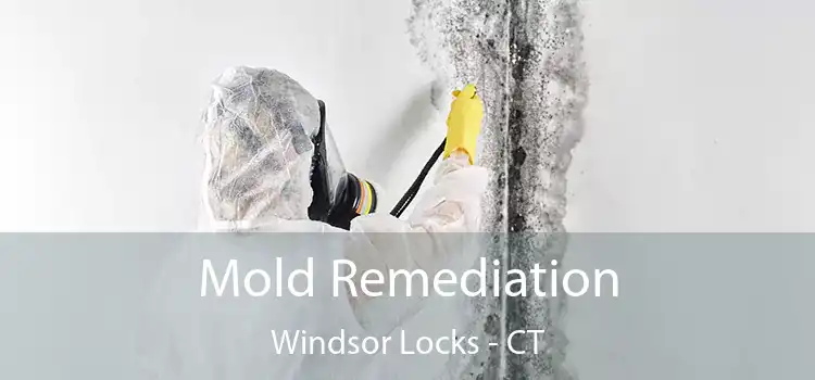 Mold Remediation Windsor Locks - CT