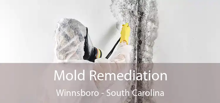 Mold Remediation Winnsboro - South Carolina