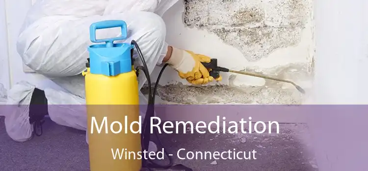 Mold Remediation Winsted - Connecticut