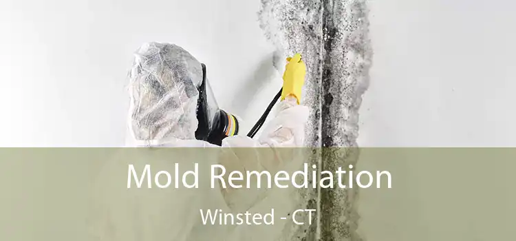 Mold Remediation Winsted - CT