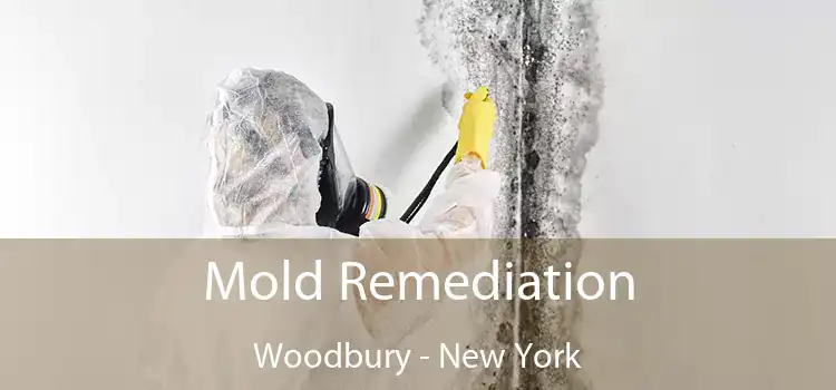 Mold Remediation Woodbury - New York