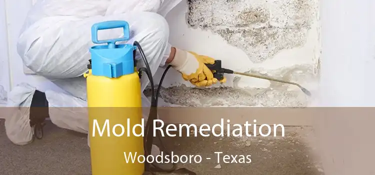 Mold Remediation Woodsboro - Texas