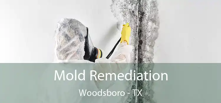 Mold Remediation Woodsboro - TX