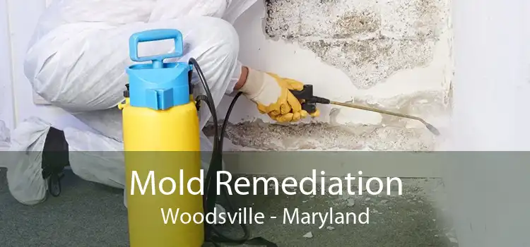 Mold Remediation Woodsville - Maryland
